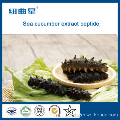 estratto di cucumeber di mare con peptide di collagene